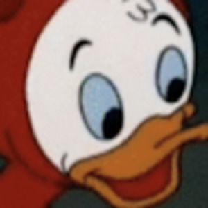 Meet your Posher, Abbie